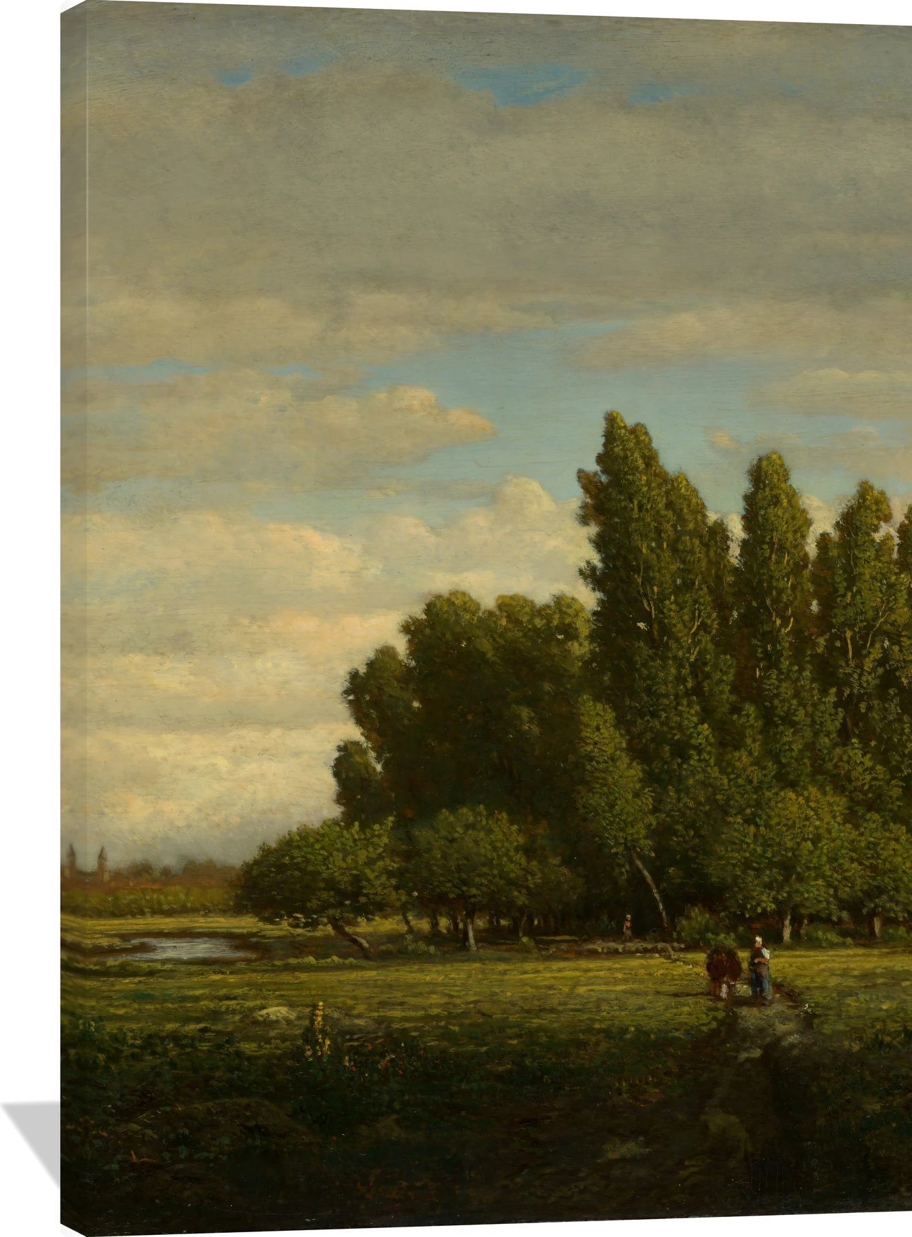 A Meadow Bordered by Trees