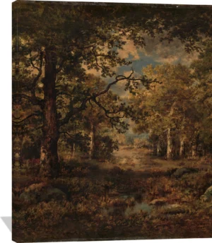 A Vista through Trees: Fontainebleau