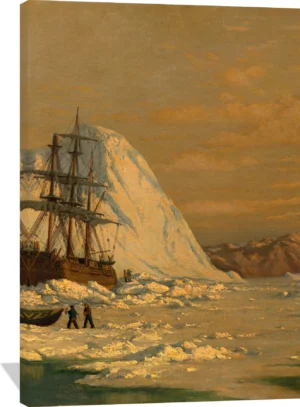 An Incident of Whaling