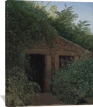 An Overgrown Mineshaft