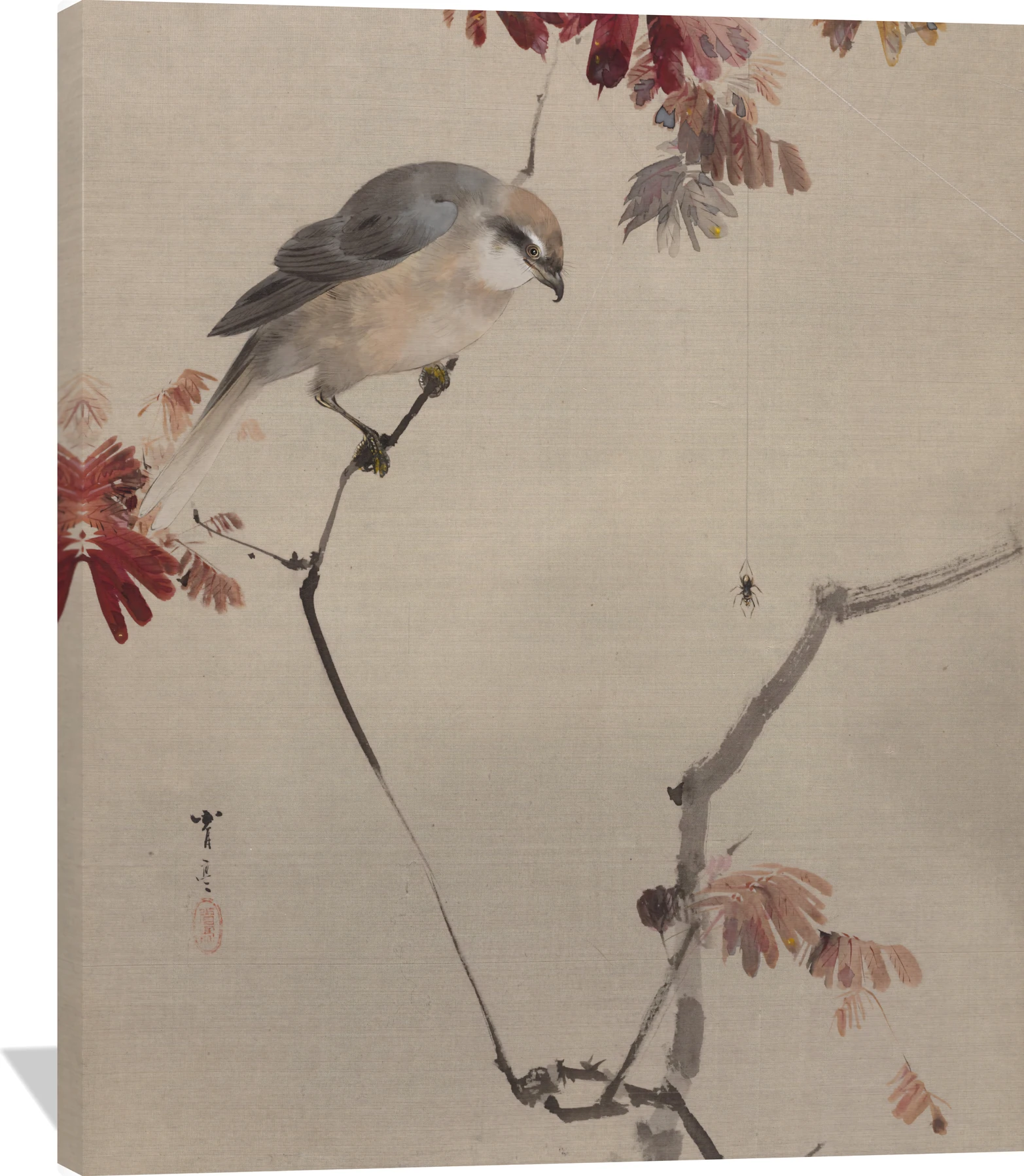 Bird on Branch Watching Spider