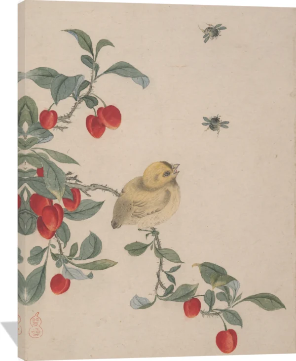 Yi Zhai