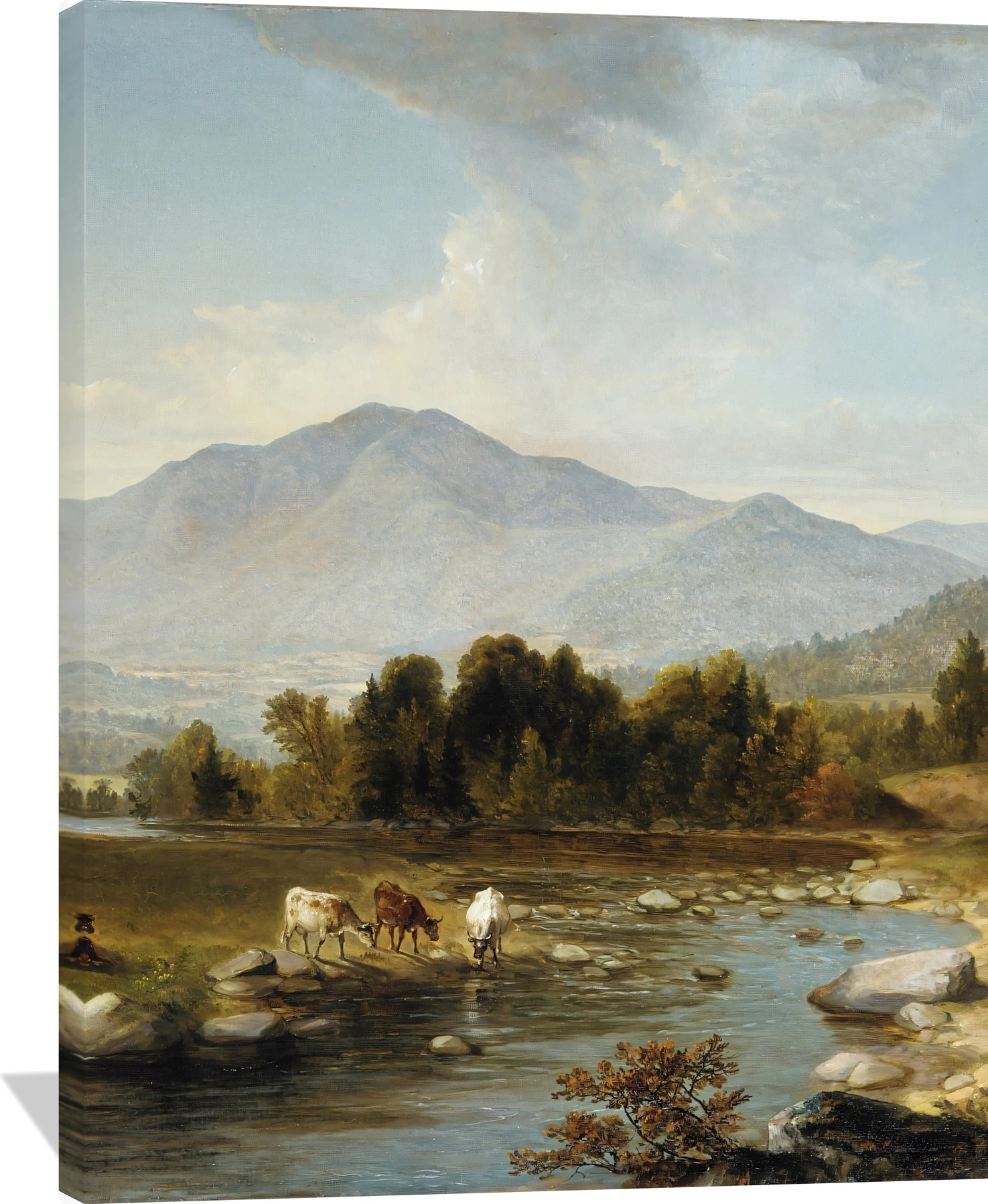 High Point: Shandaken Mountains