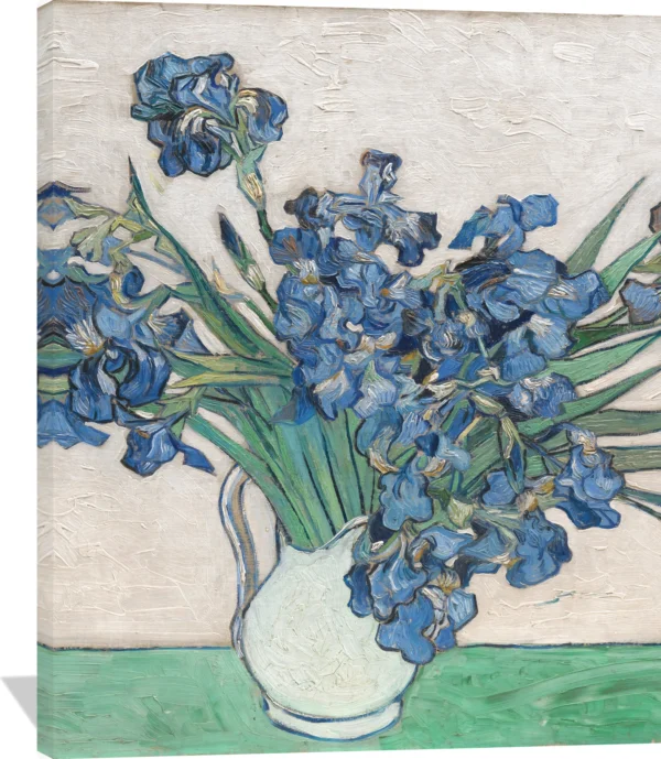 Iris