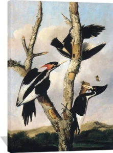 Artwork by Joseph Bartholomew Kidd