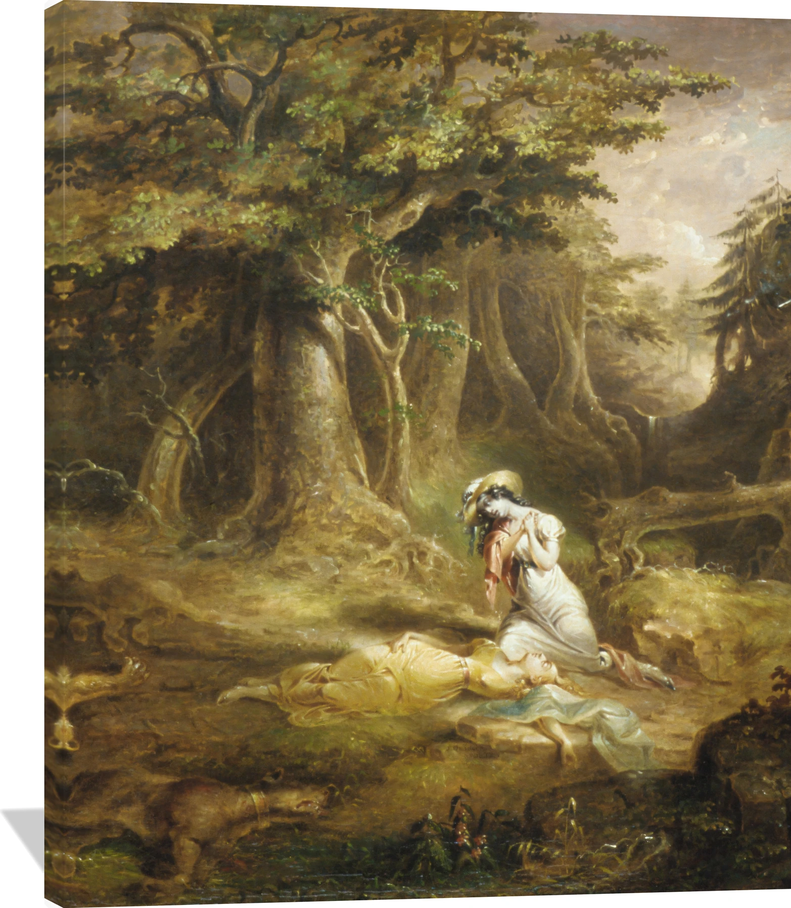 Leatherstocking's Rescue