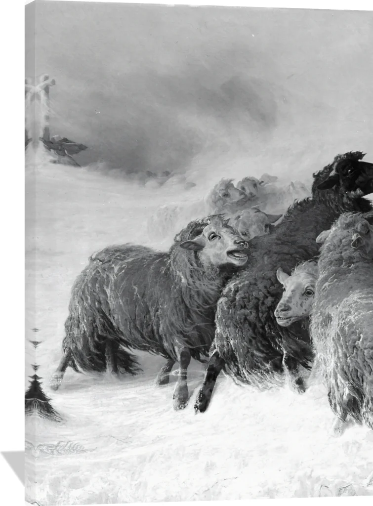 Lost: Souvenir of Auvergne