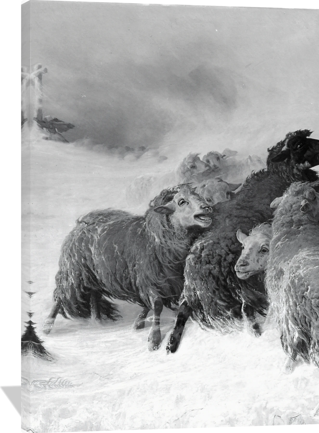 Lost: Souvenir of Auvergne