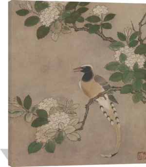 Magpie on Viburnum Branch