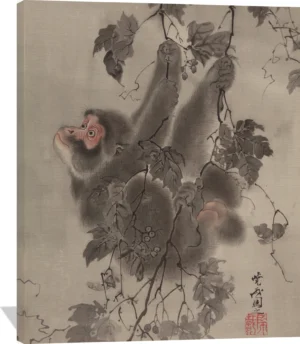 Monkey Hanging from Grapevines