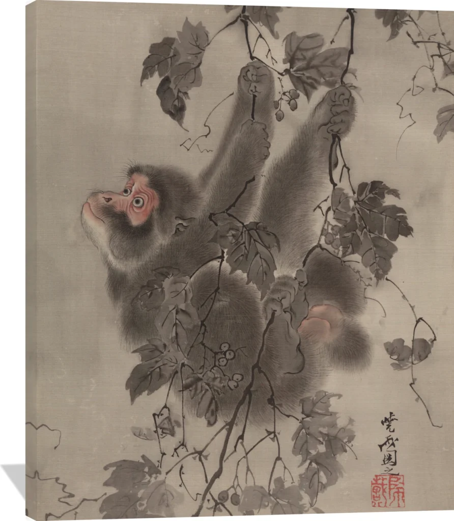 Monkey Hanging from Grapevines