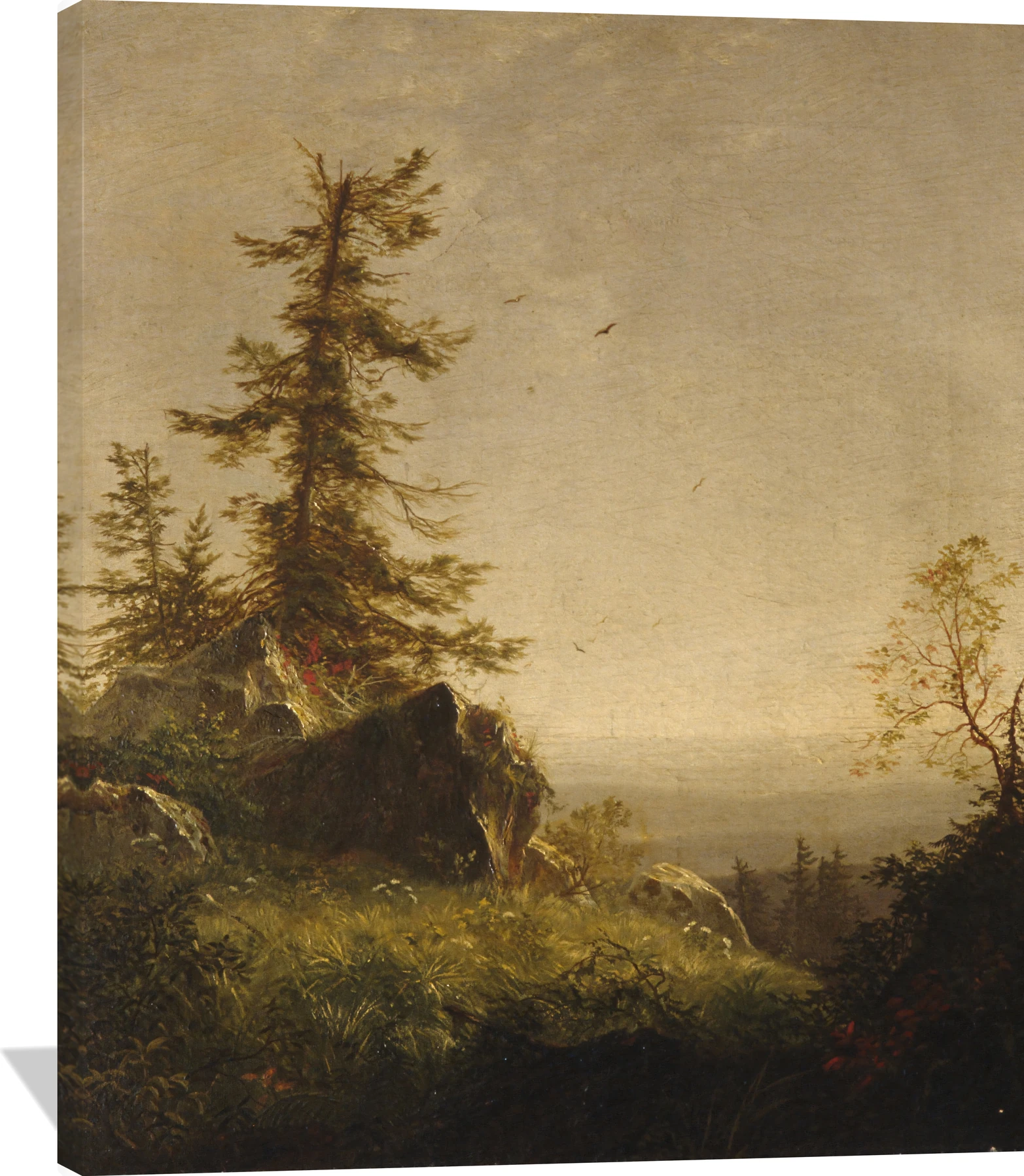 Morning on the Mountain