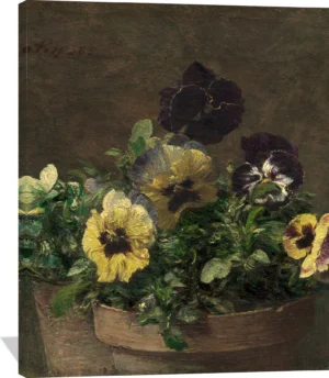 Potted Pansies