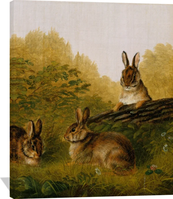Rabbits