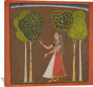 Ragini, possibly Asavari: Folio from a Ragamala Series
