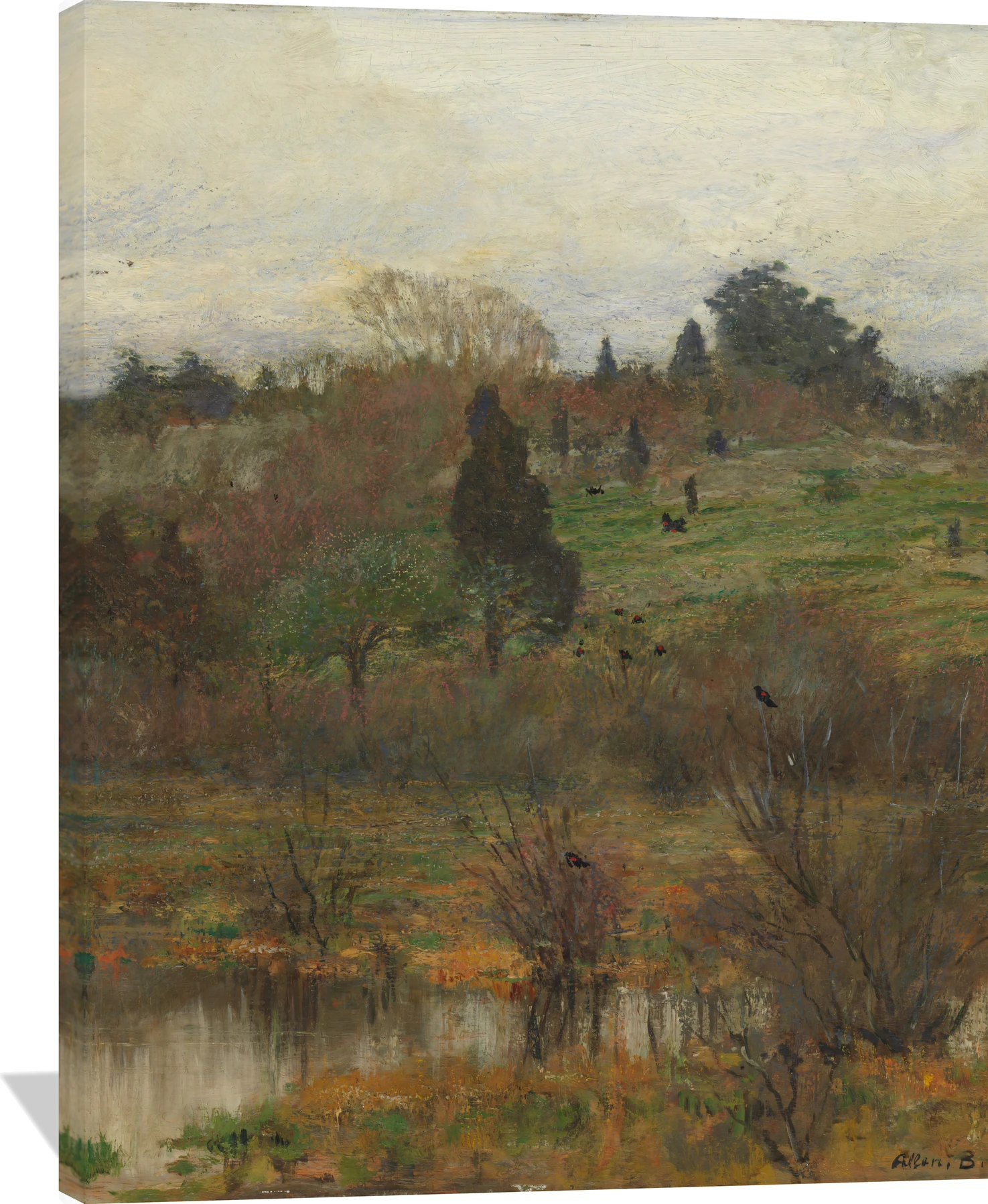 Return of the Redwing