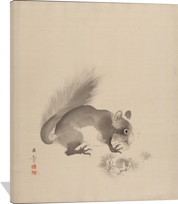 Squirrels