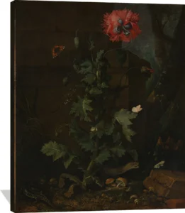 Artwork by Otto Marseus van Schrieck