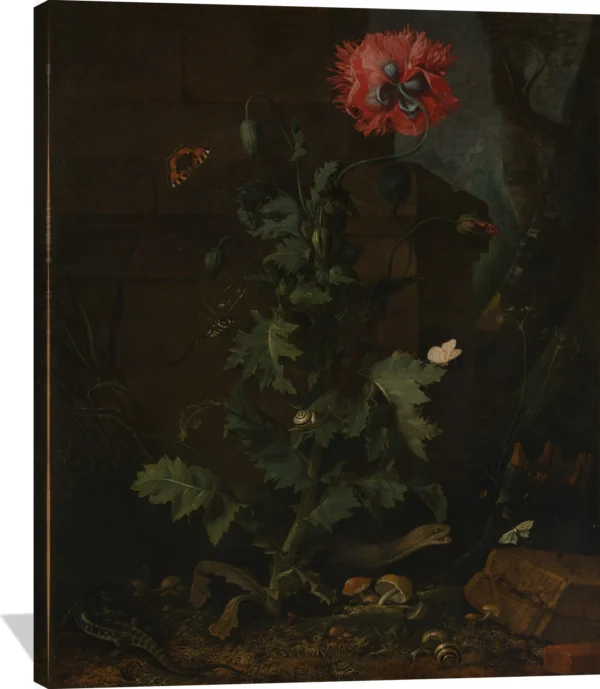 Otto Marseus van Schrieck