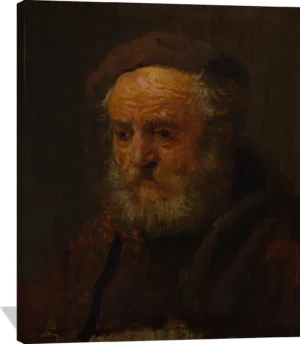 Study Head of an Old Man