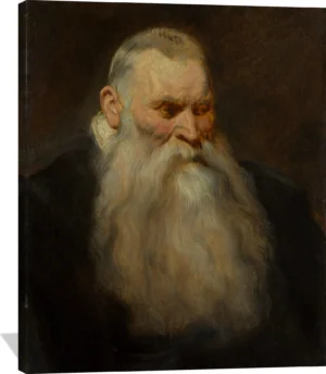 Study Head of an Old Man with a White Beard