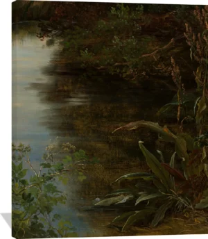 Study of Water and Plants