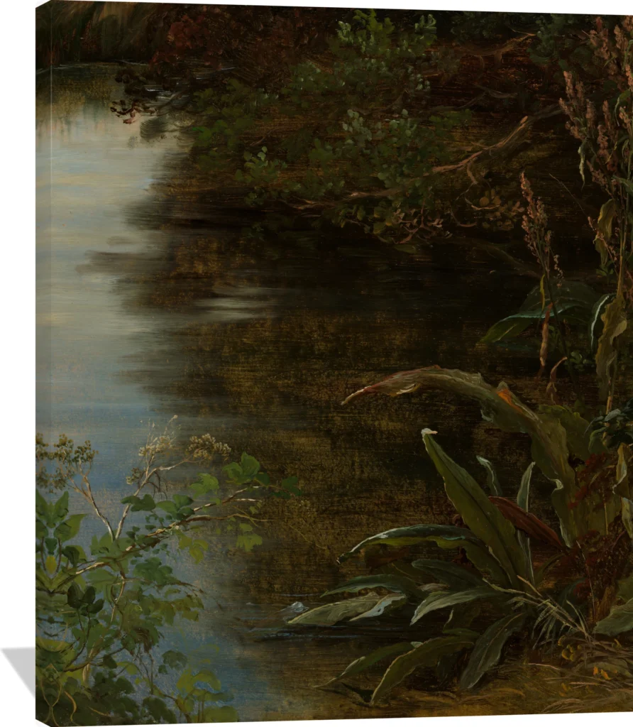 Study of Water and Plants