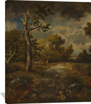 The Edge of the Woods