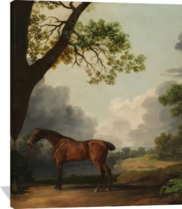 Artwork by George Stubbs