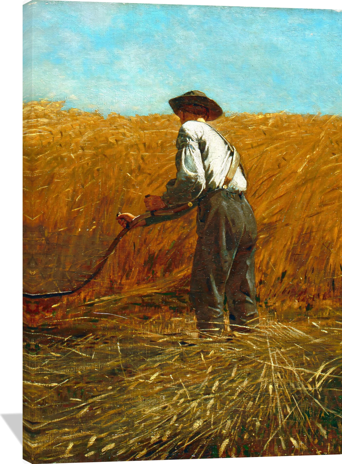 The Veteran in a New Field