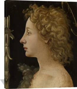 Artwork by Piero di Cosimo (Piero di Lorenzo di Piero d'Antonio)