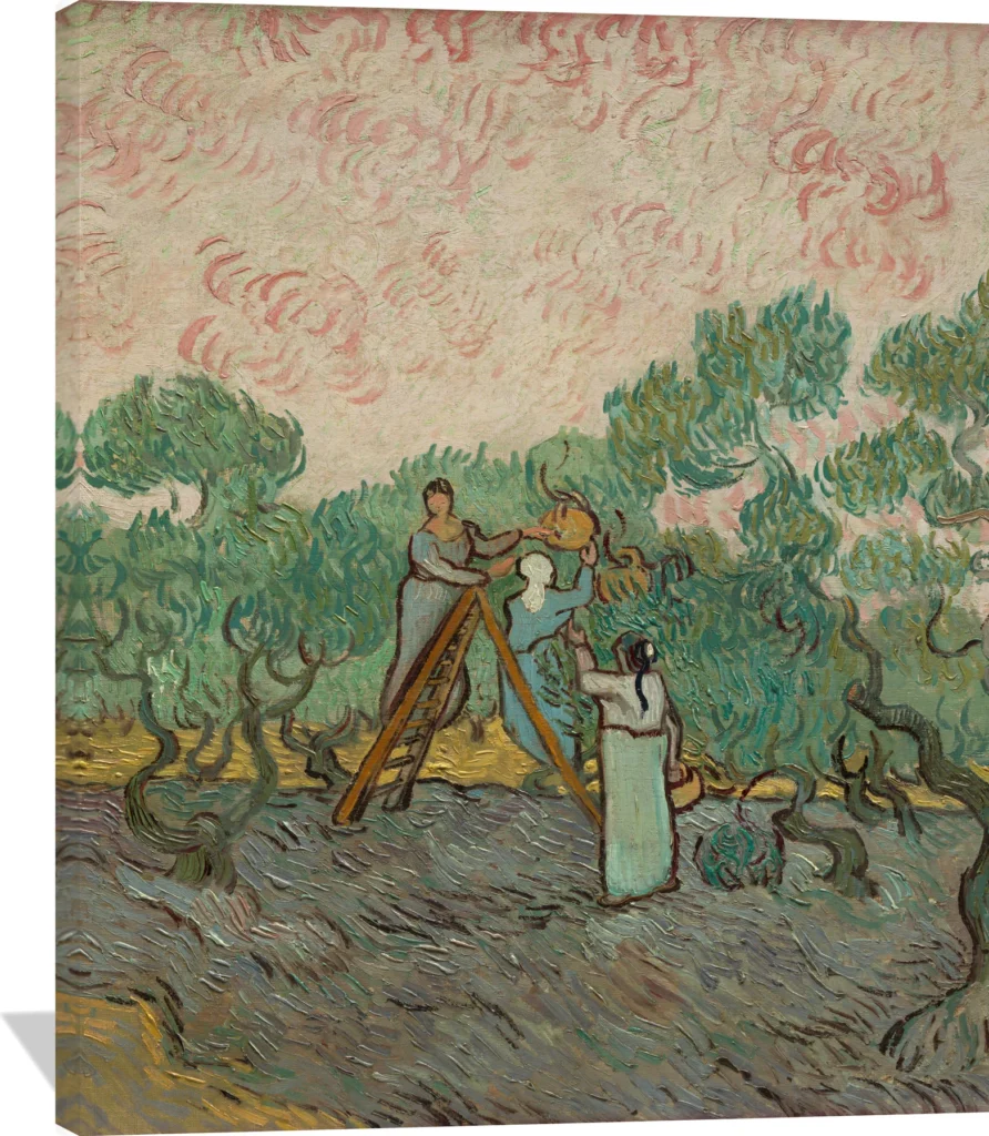 Women Picking Olives