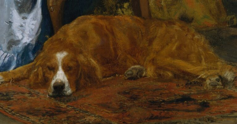An Irish setter asleep on a Persian rug, detail of Thomas Eakins's painting in the Metropolitan Museum of Art