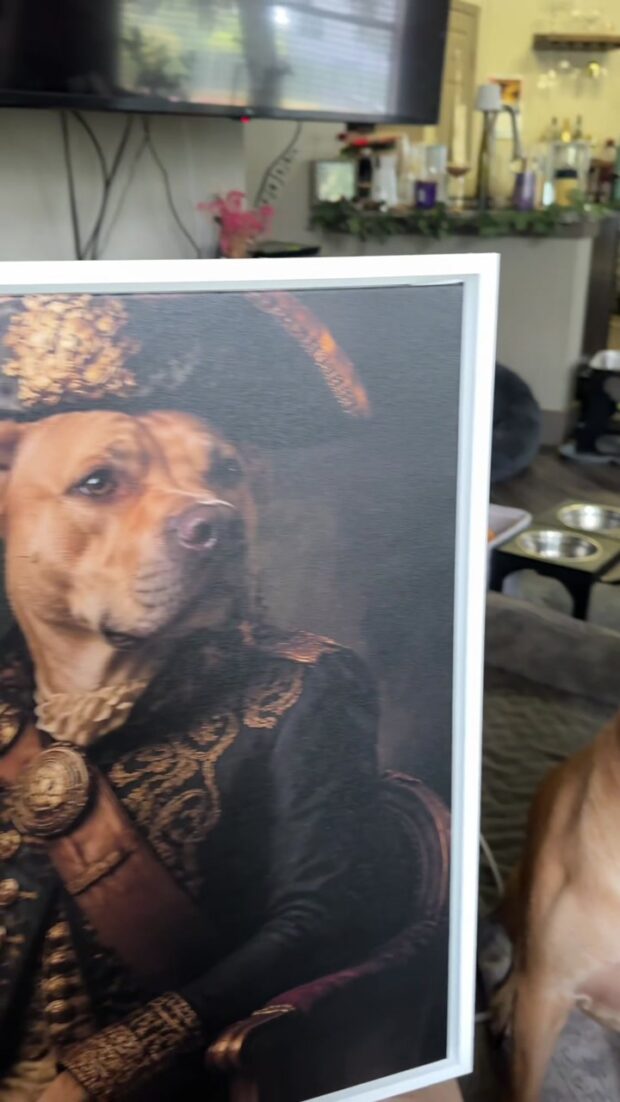 Custom pet portrait canvas from Kira M., hanging at home