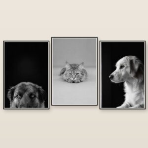 Black & White Studio pet portrait canvas