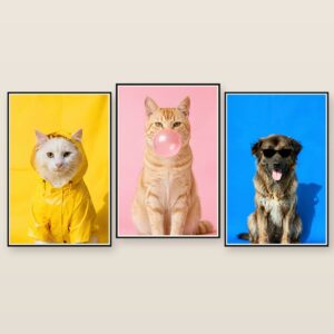 Color Studio pet portrait canvas