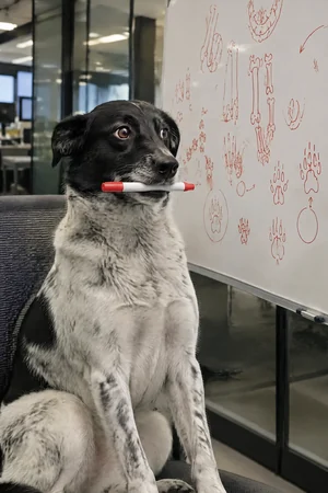 Corner Office pet portrait style