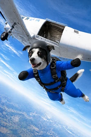 Plane Jump: custom dog portrait in the Off the Leash style