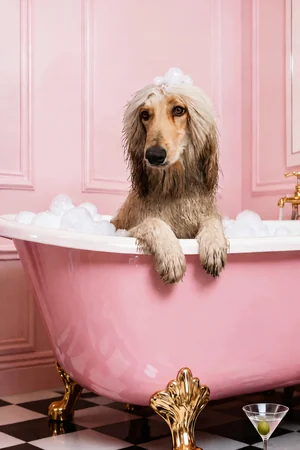 Pink Clawfoot Tub: custom dog portrait in The Big Soak style