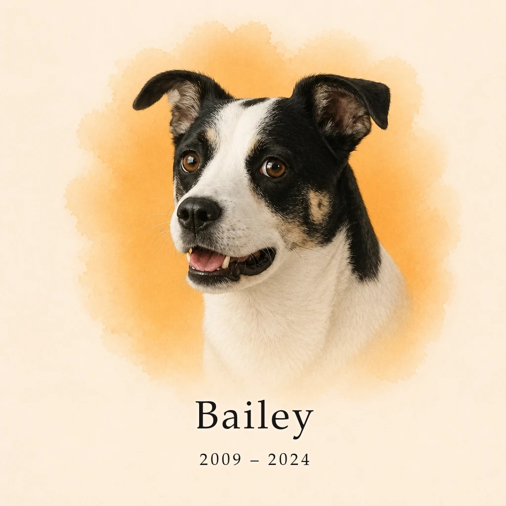 In Loving Memory custom pet portrait artwork