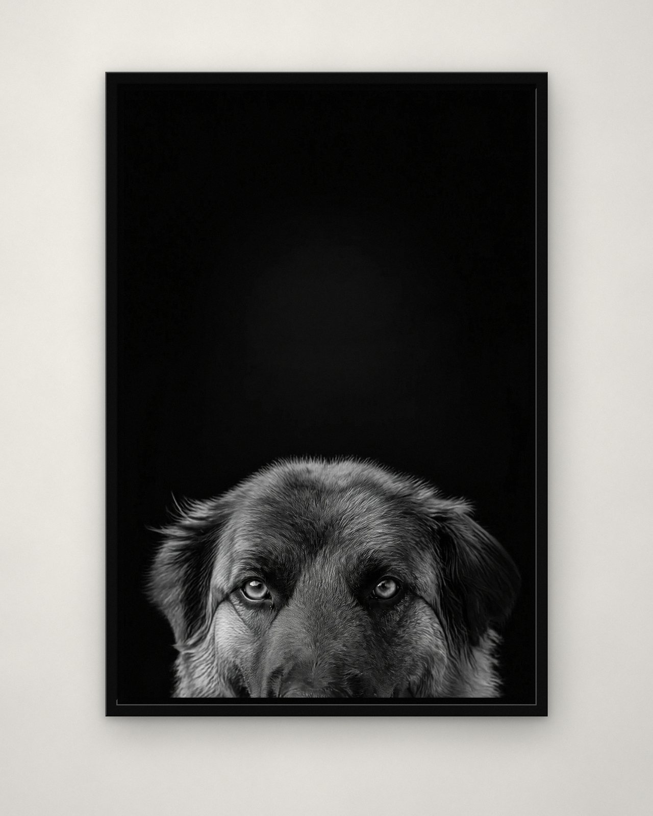 Peekaboo portrait on canvas in a black floating frame on a plain wall
