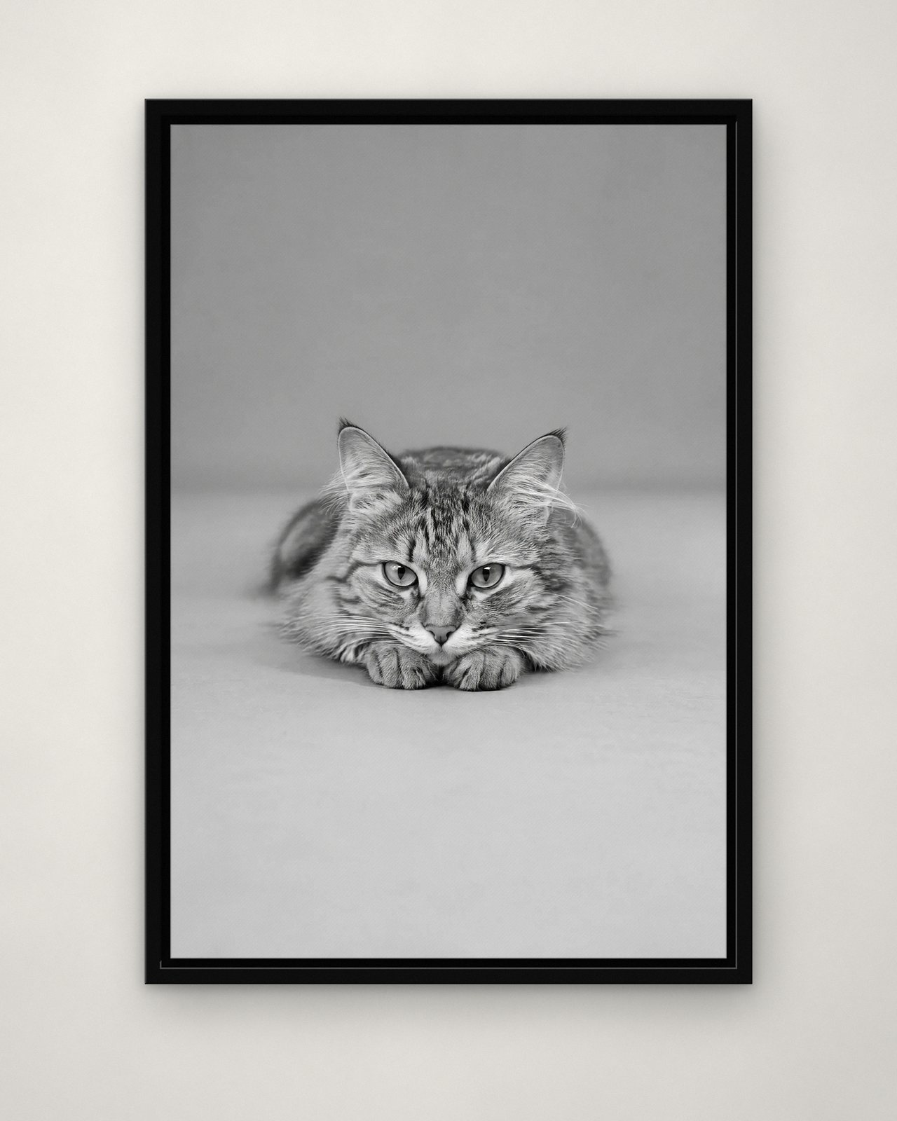 Chin on Paws portrait on canvas in a black floating frame on a plain wall