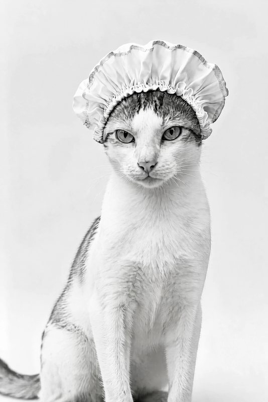 The Bath Bonnet look made with a white cat with a tabby cap