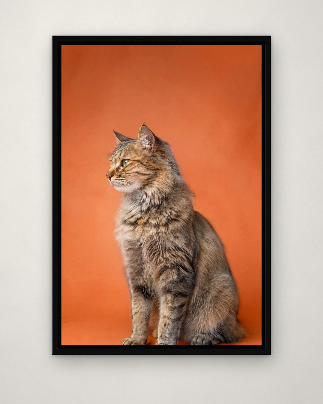 Terracotta Profile portrait on canvas in a black floating frame on a plain wall
