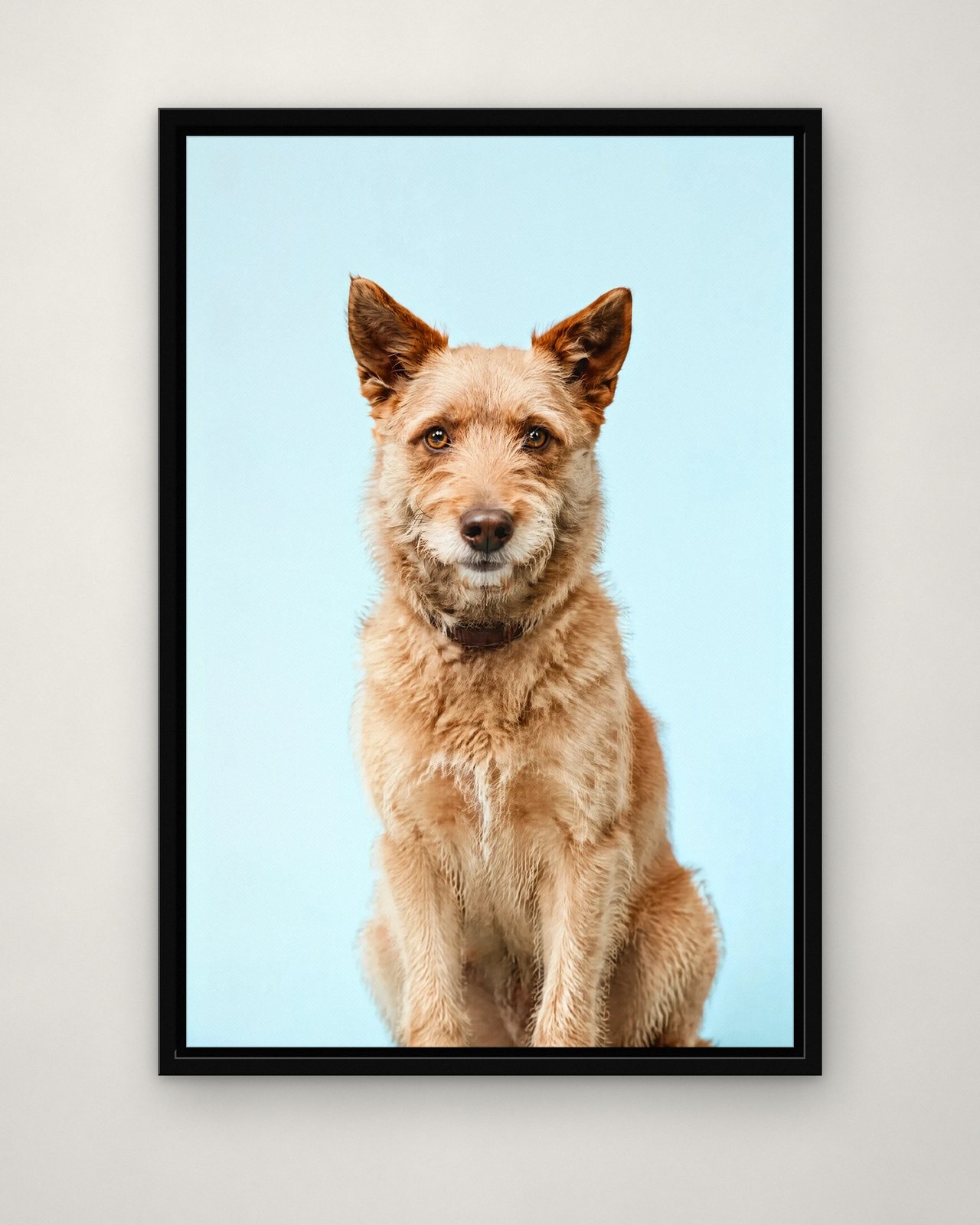 Powder Blue portrait on canvas in a black floating frame on a plain wall