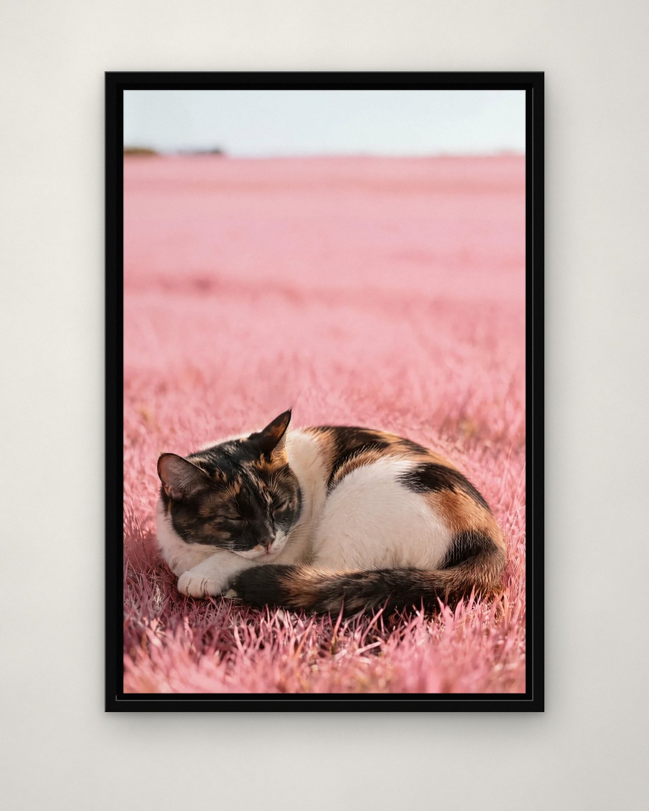 Blush Nap portrait on canvas in a black floating frame on a plain wall