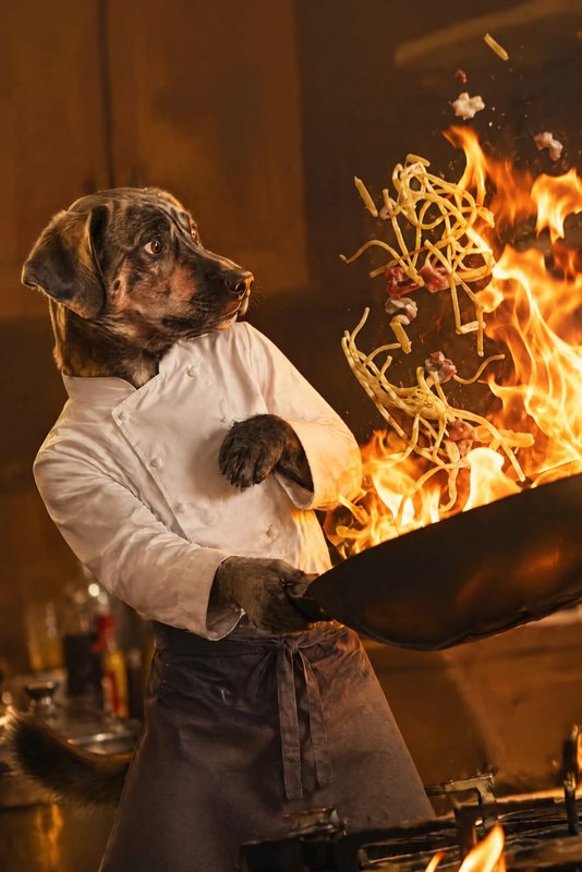 The Flambé look made with a brindle mixed-breed dog