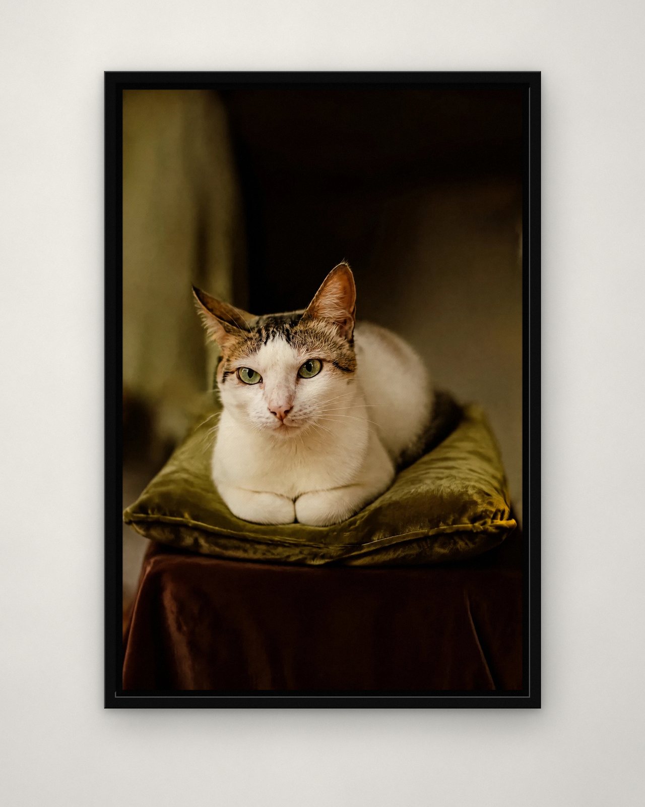 Velvet Cushion portrait on canvas in a black floating frame on a plain wall