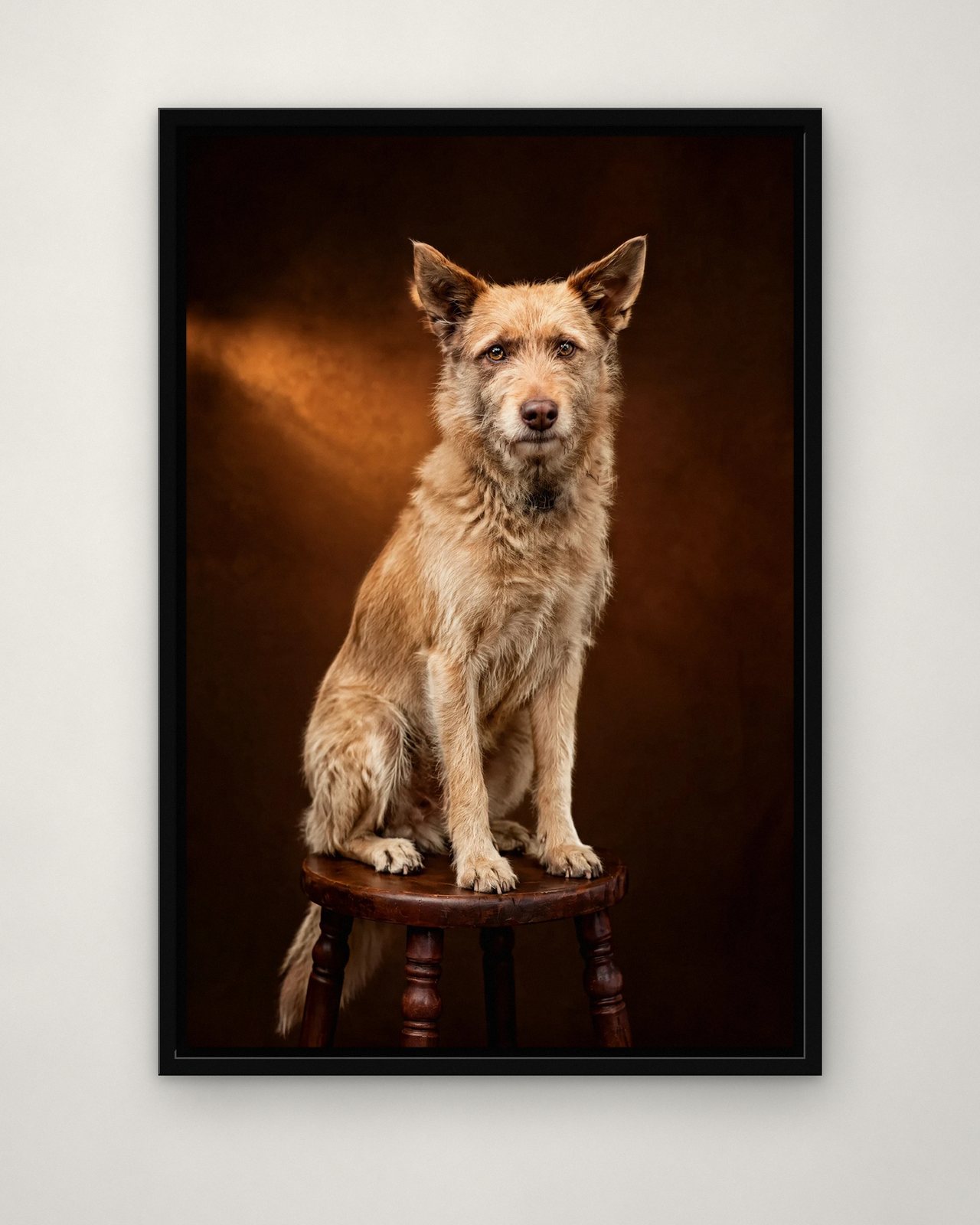 Antique Stool portrait on canvas in a black floating frame on a plain wall