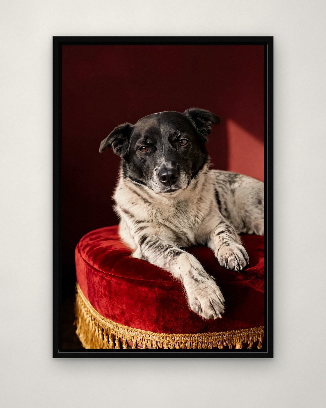 Crimson Footstool portrait on canvas in a black floating frame on a plain wall